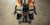 10002-speed-pro-image-detail-griffe-gif.gif